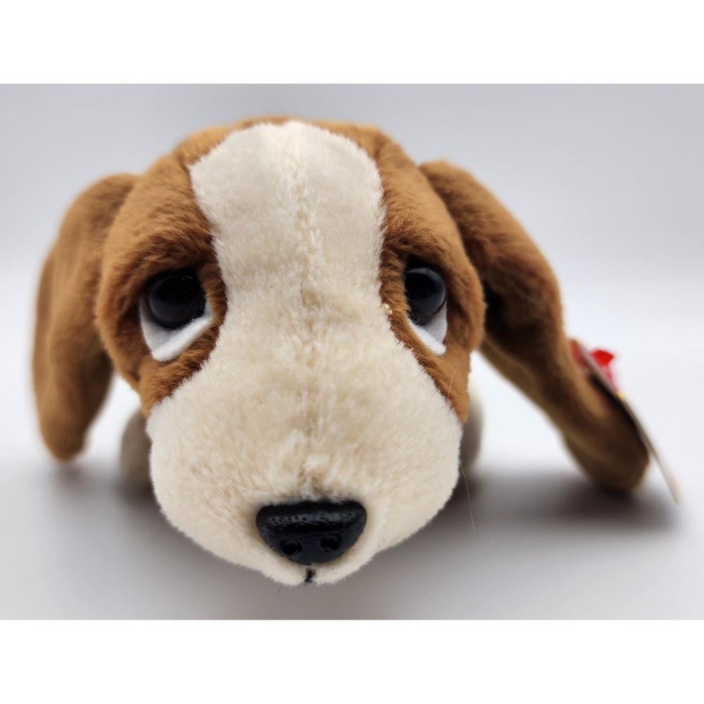 Ty Beanie Baby Tracker the Dog DOB June 5, 1997 SO CUTE